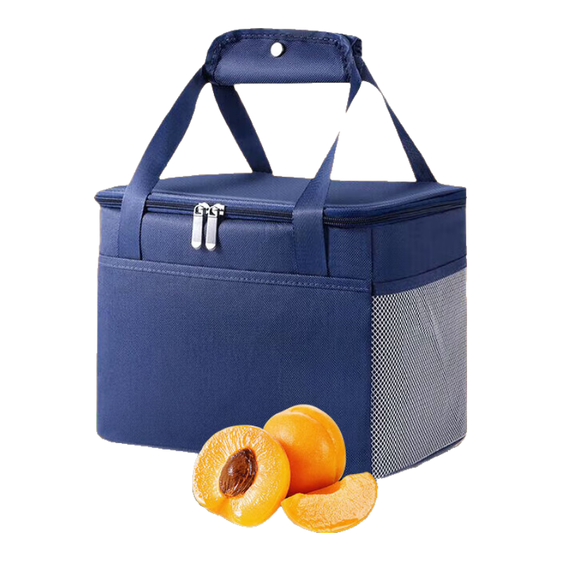 Pomelo Town Insulated Cooler Bag Large Capacity Thermal Lunch Box Cold Storage Car Portable Handheld Outdoor Food Preservation Breast Milk Storage Backpack for Mothers 6.5L