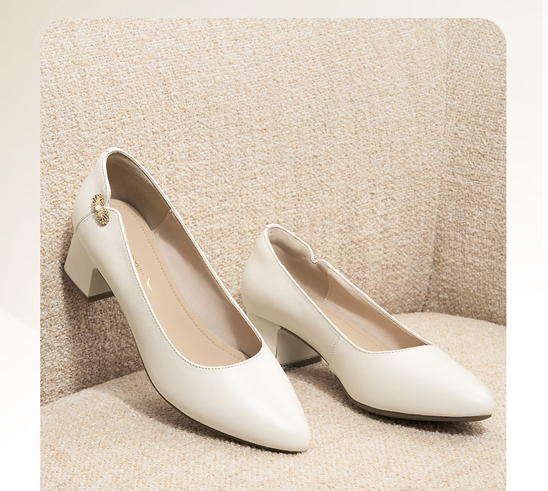 RED DRAGONFLY Shallow-Mouth Pumps, Women's Spring Shoes, Chunky Heel High Heels, French-Style Commuter Leather Shoes WLB15058, Beige, Size 39 5