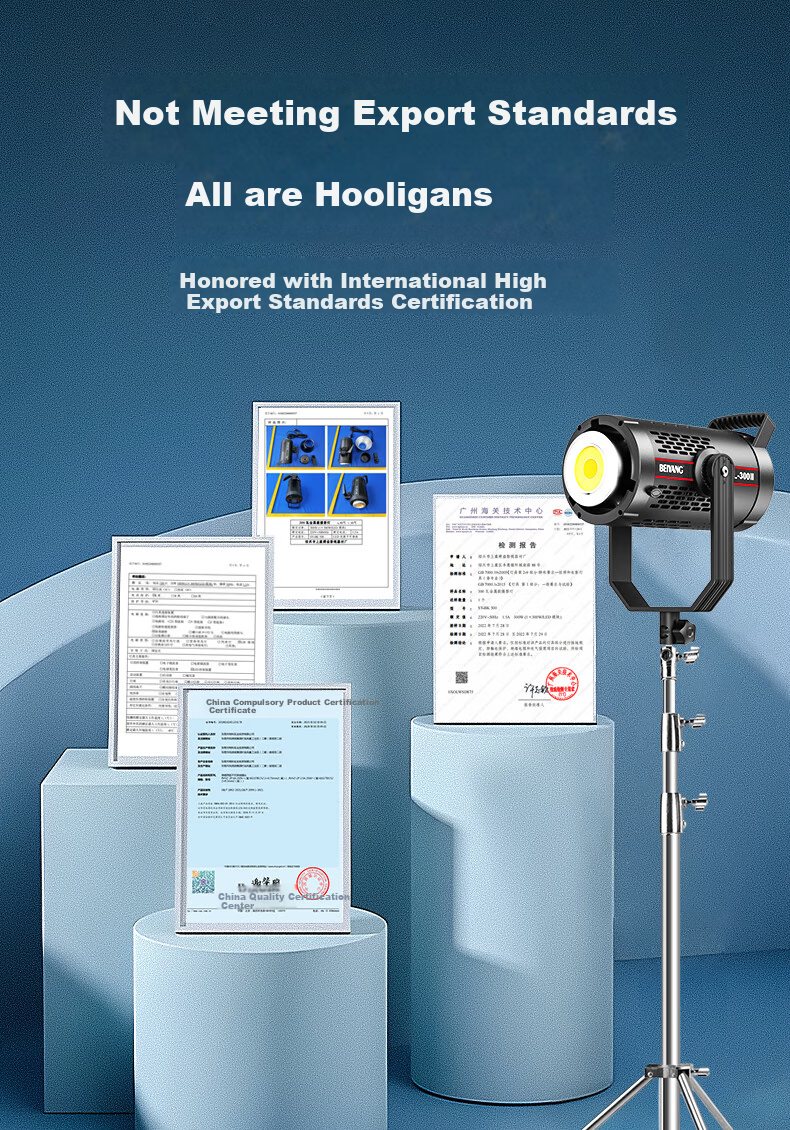 Beiyang SL300III Live Streaming Fill Light, Photography Camera Lighting, 300W Professional Live Streaming Beauty Light, Spherical Lamp, Deep Throw Light, Portrait Video Soft Light, Film And Television Shooting Light 18