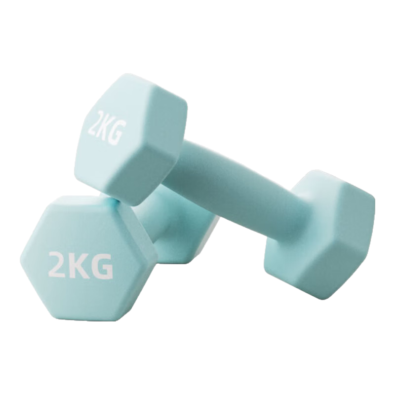 Langwei Dumbbell for Men And Women, Coated Pure Iron Small Dumbbell, Strength Training Solid Cast Iron, Home Fitness [JINGDONG Exclusive Supply]