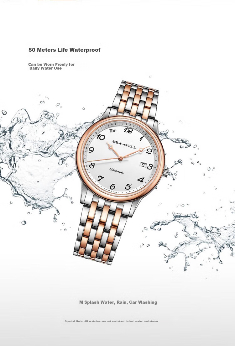 SEAGULL Automatic Mechanical Watch for Men, Simple Calendar Men's Watch, Birthday Gift for Men, National Watch 819.13.1054 31