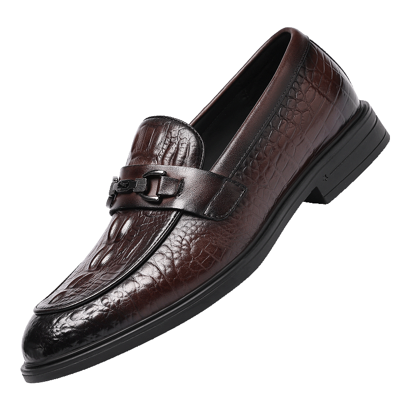 Hongqingting Men's Shoes, Business Casual Shoes, Slip-On High-End Shoes, Crocodile Pattern Cowhide Shoes for Men, WLA150552, Brown, Size 44