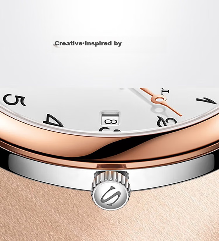 SEAGULL Automatic Mechanical Watch for Men, Simple Calendar Men's Watch, Birthday Gift for Men, National Watch 819.13.1054 20