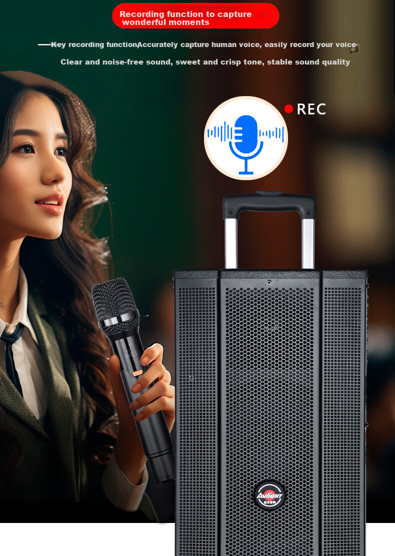 Ailang K52 Square Dance Speaker, Heavy Bass, Home And Outdoor Karaoke, Electric Guitar Folk Acoustic Instrument Speaker, Performance Bluetooth Trolley Speaker with Microphone, 12-Inch 8