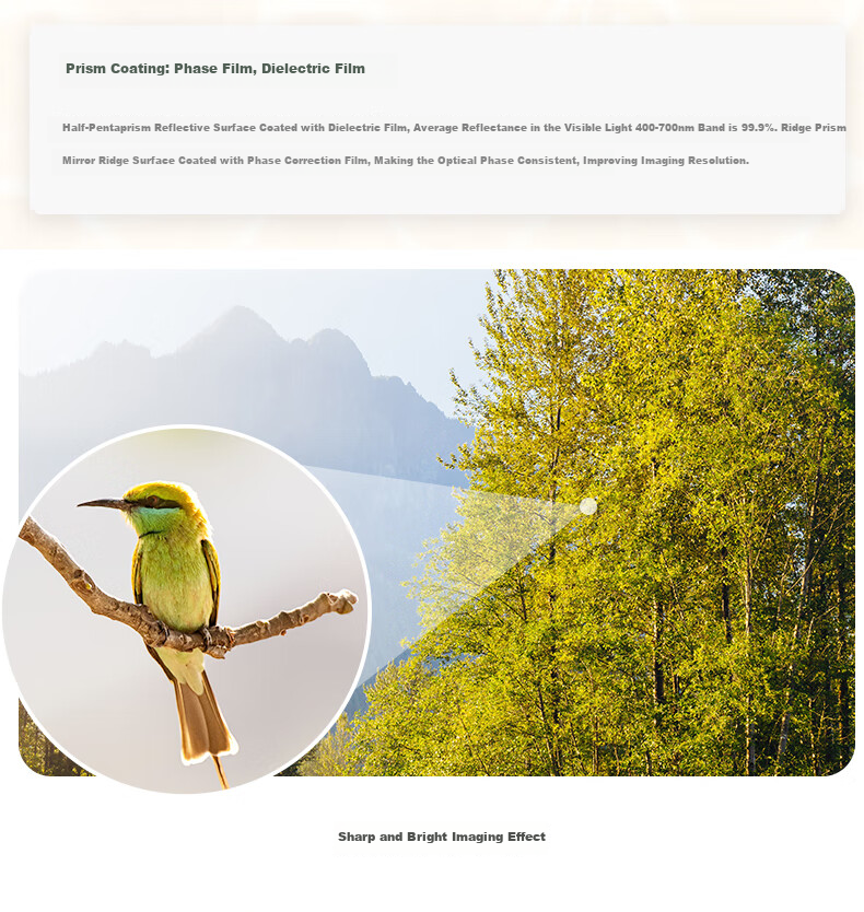 BOSMA Fenghu 2nd Generation 12x50ed Binoculars, Micro-Prism Field Magnesium Alloy, Waterproof, Honeybee Tracking, Scenery Viewing, Low-Light Night Visio 13