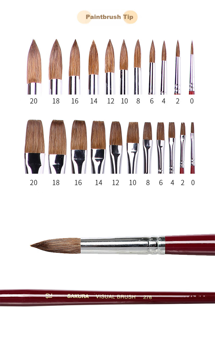 SAKURA Horse Hair Paintbrush Round Head No.6 Acrylic Gouache Oil Painting Brush Long Handle Art Brush for Beginners Watercolor Sketch 3
