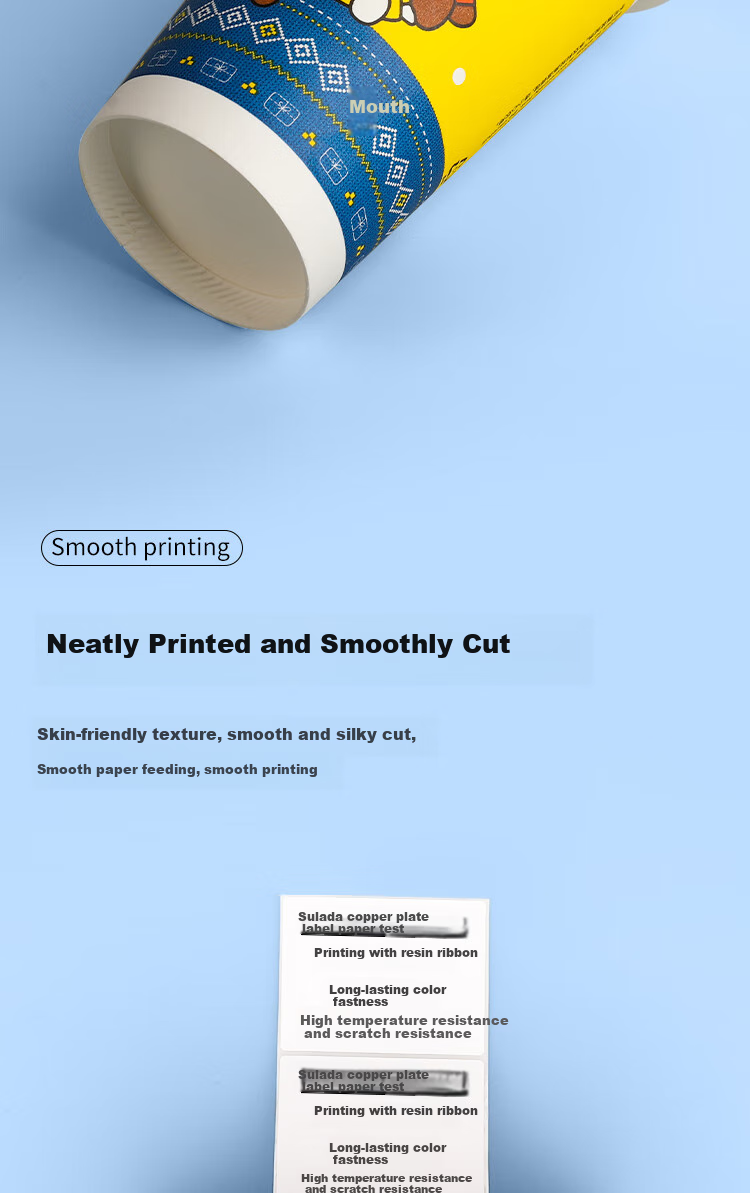 Surada 100x80mmx500 Coated Paper Label, Carbon Ribbon Label, Coated Label Paper, Self-Adhesive Coated Paper, Barcode Label Paper BQ-0193 3