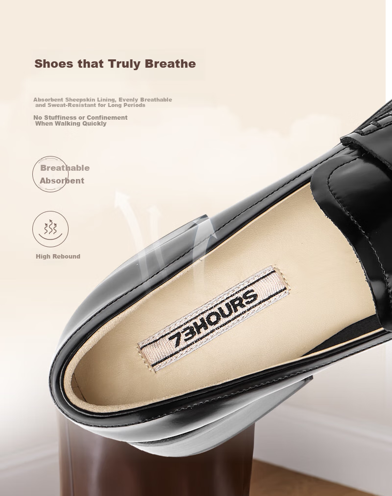 73Hours Celebrity-Inspired Women's Shoes, Wind Dile Zhang New Style Coin Loafers, Chunky Heel Leather Shoes, Fashionable Casual Women's Footwear 2