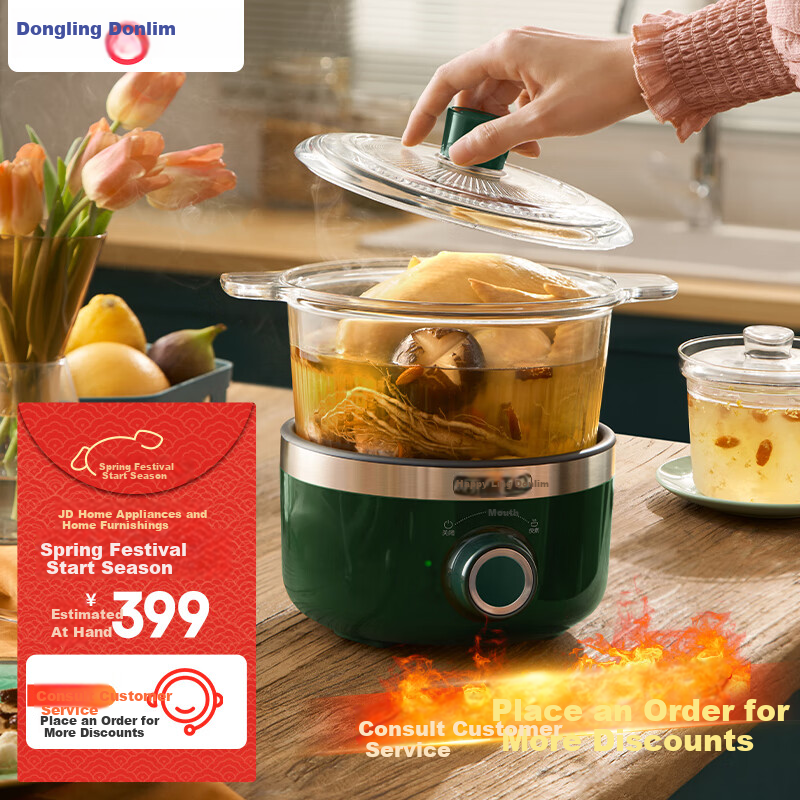 Donlim Electric Stew Pot, Soup And Bird's Nest Double Boiler, Health-Preserving Water Bath Cooker, BB Soup Pot, Small Glass Electric Stew Pot for Nourishment And Beauty, DL-9002 (Forest Green)