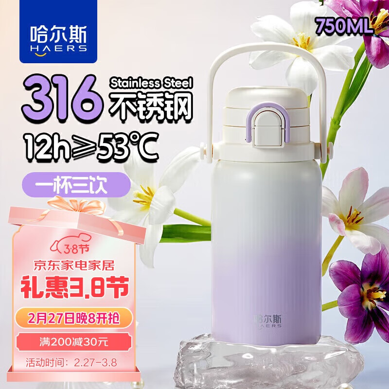 HAERS Insulated Mug, 316 Stainless Steel, Large Capacity for Men And Women, with Straw, Dual Drinking Cup for Students, with Strap, 750ML, Purple