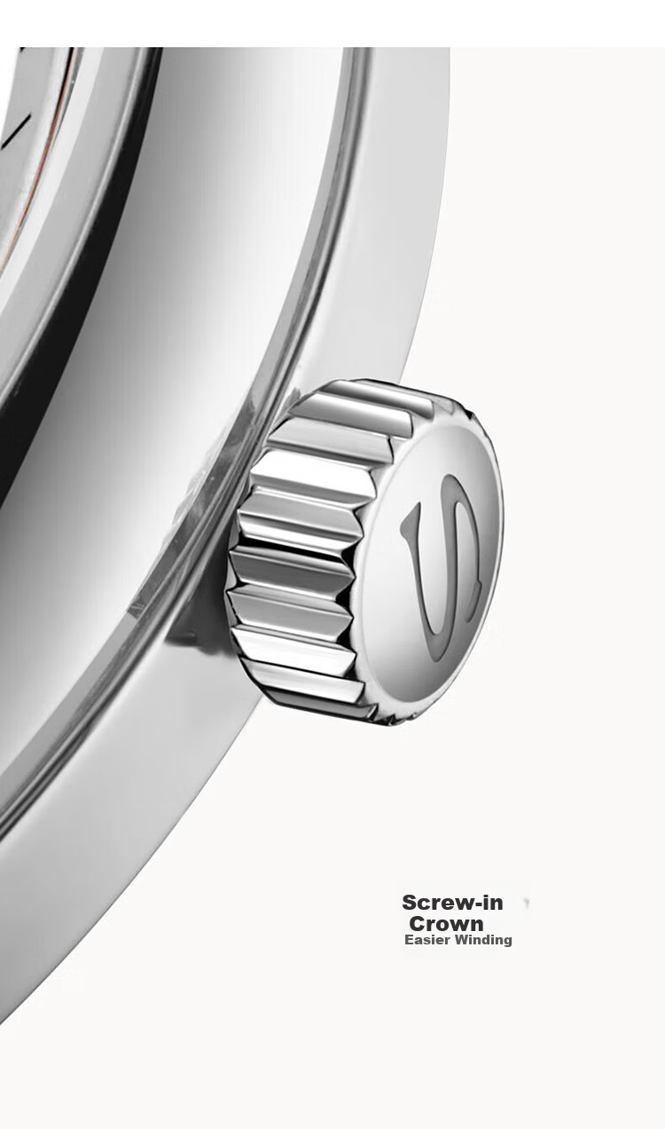 SEAGULL Automatic Mechanical Watch for Men, Simple Calendar Men's Watch, Birthday Gift for Men, National Watch 819.13.1054 16