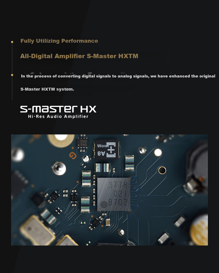 SONY NW-WM1ZM2 Hi-Res High-Resolution Music Player/MP3 Hi-Fi Lossless Flagship, Oxygen-Free Copper Gold-Plated Body, Jin Zhan 2nd Generatio 9