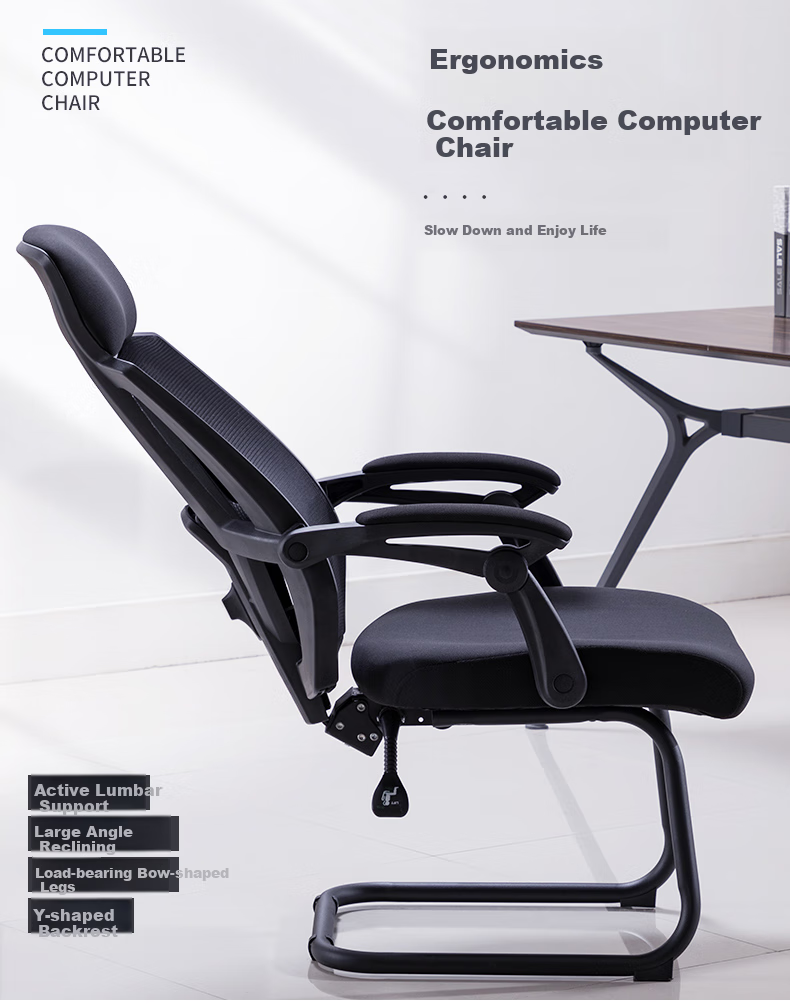 BECAUSES Computer Chair for Home Use, Reclining Office Chair, Conference Chair, Study Chair, Comfortable for Long Sitting, Ergonomic Seat 0895B 1