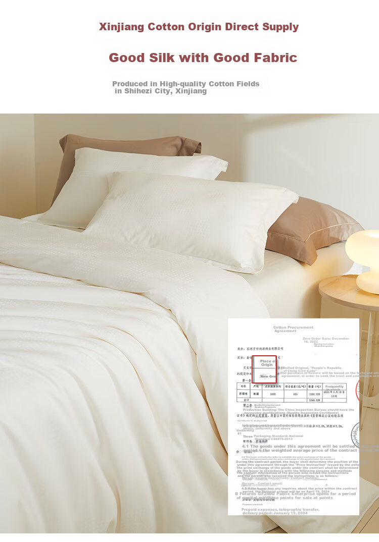 Ciyun Natural Silk Comforter, 100% Medium-Long Fiber Silk, Class A Pure Cotton Spring And Autumn Quilt, 2.2*2.4m, Approximately 4.8 Ji 4