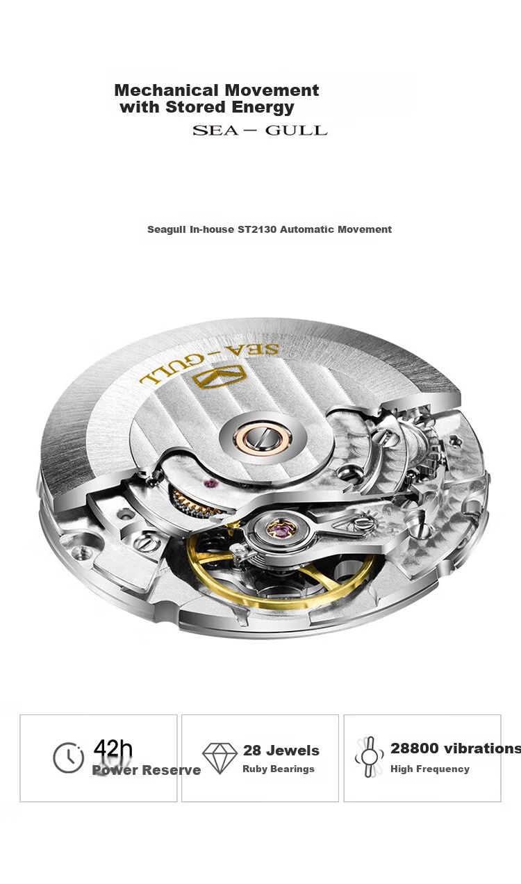 SEAGULL Automatic Mechanical Watch for Men, Simple Calendar Men's Watch, Birthday Gift for Men, National Watch 819.13.1054 12