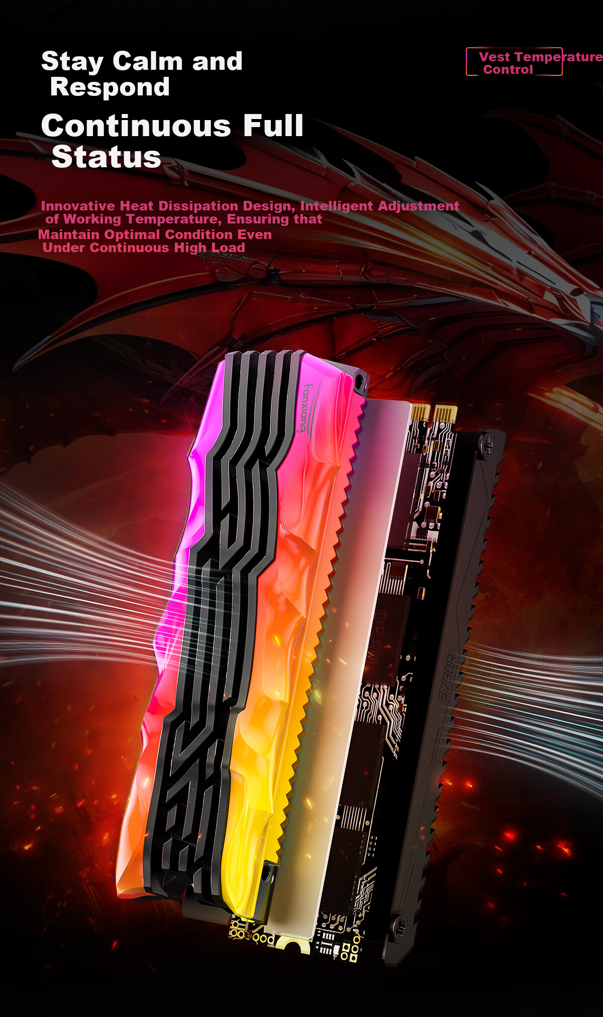 FANXIANG 1TB SSD Solid State Drive, M.2 Interface NVMe Protocol PCIe4.0 TLC NAND TLC RGB Colorful Lighting Effects, Read Speed 7400MB/s, Computer Upgrade S790R 7
