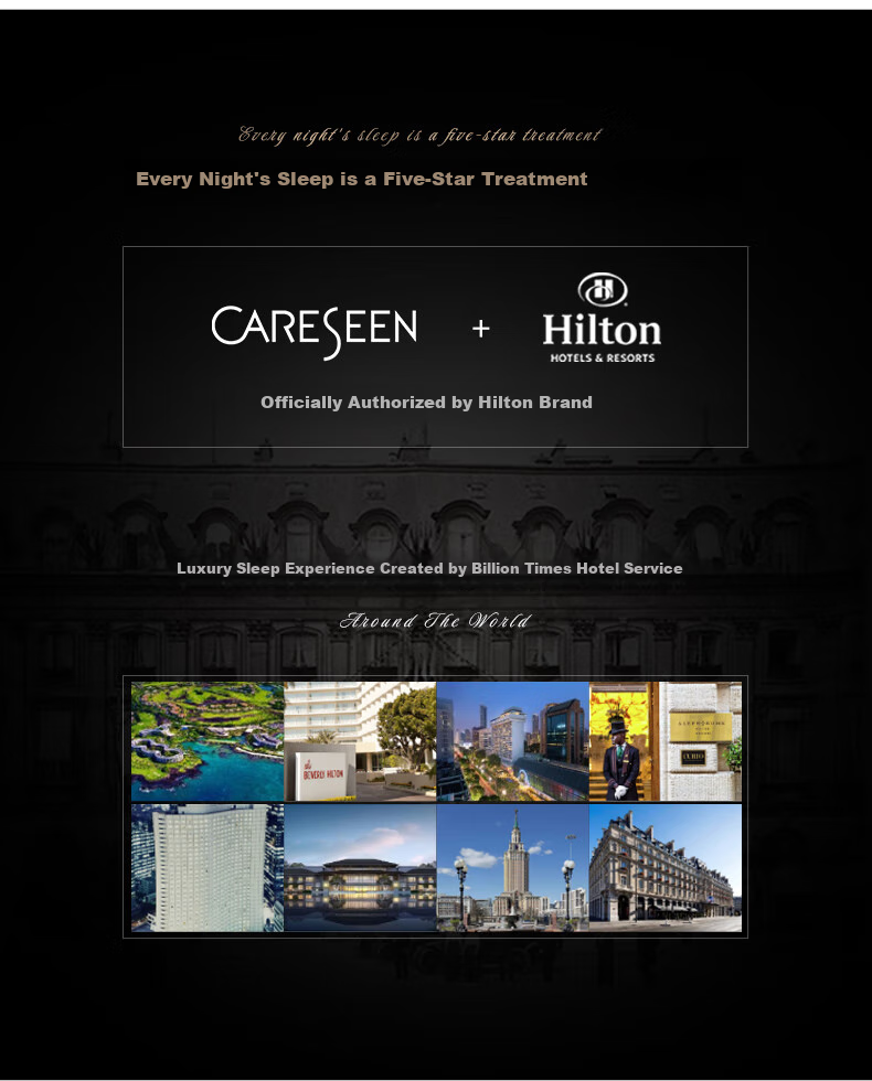 Canasin Hilton Hotel down Pillow, 95% Hungarian White Goose Down Pillow Core, Single Pack, 74*48cm Low Pillow 3