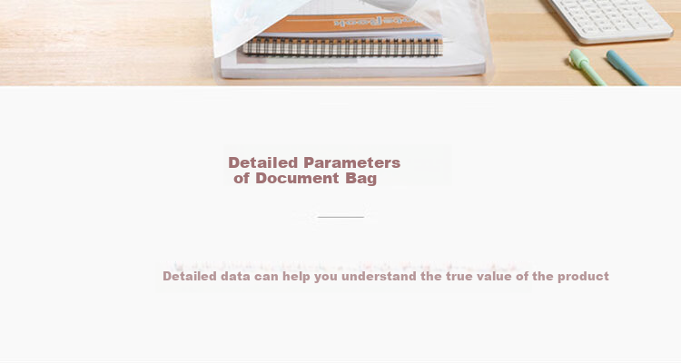 DiLe Premium Series A4 Transparent Button File Folders/document Folders/archive Folders, Office Stationery, Pack of 10, 1411 White 12