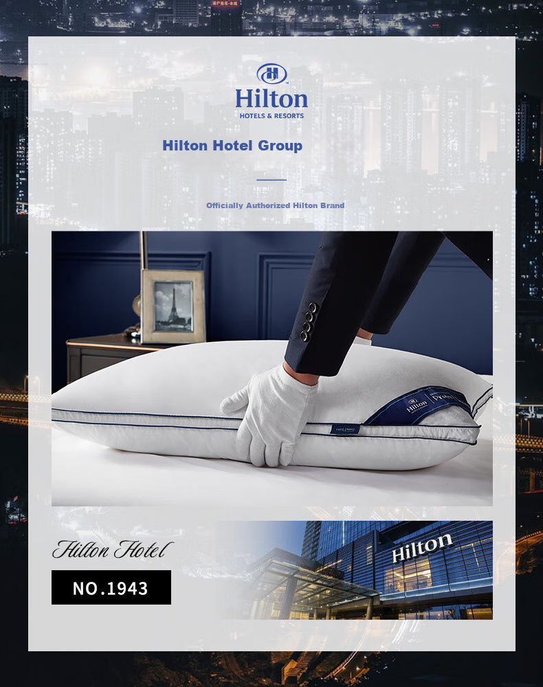 Canasin Hilton Hotel down Pillow, 95% Hungarian White Goose Down Pillow Core, Single Pack, 74*48cm Low Pillow 9