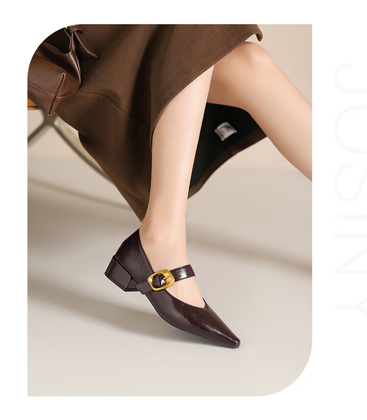 Josiny French Pointed Toe Single-Strap Mary Jane Shoes for Women, New Spring And Autumn 2026 Style Leather Shoes, Retro Chunky Heel Pumps, Black, Size 35 10