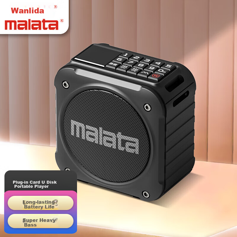 Malata A59 Portable Flash Drive, Personal Audio Player, Outdoor Speaker, Mini FM Radio, Gift for Elderly, Black