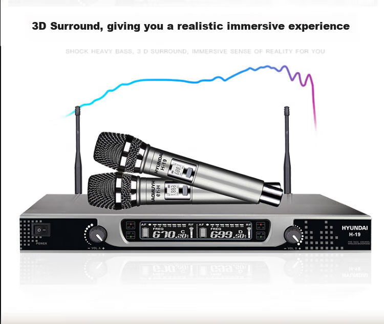 HYUNDAI H-19 Wireless Microphone System, Dual Channel UHF Transmitter And Receiver, for Home KTV, Handheld Use in Meeting Rooms, Outdoor Events, And General Stage Performance 3