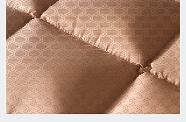 Bellees 90% Duck Down Quilt Winter Double Autumn and Winter Comforter 1000g Filling 200x230cm 12