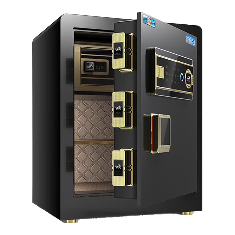 Hupai Safe for Home And Office Use, Small Fingerprint Password Security Cabinet, All-Steel Anti-Theft, Can Be Built into Wall Or Cabinet, Safe Deposit Box, Borui Series, 45cm, Piano Black
