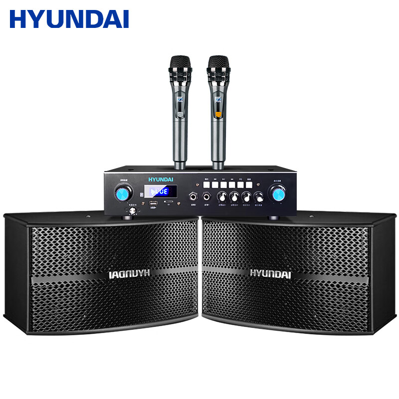 HYUNDAI Home Theater KTV Sound System Set, Professional Amplifier for Living Room, Conference Room, Karaoke, Complete Package with Speakers And Equipment for Shops And Karaoke Venues