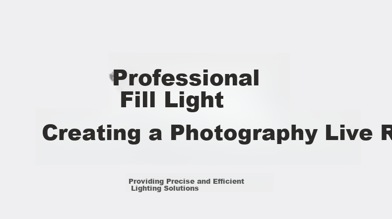 Hakutatz LG-300W Live Streaming Photography Fill Light, 300W Professional Live Streaming Light, Soft Ball COB Studio Equipment Dedicated Live Room Full Set Spherical Lighting Sun Lamp 3
