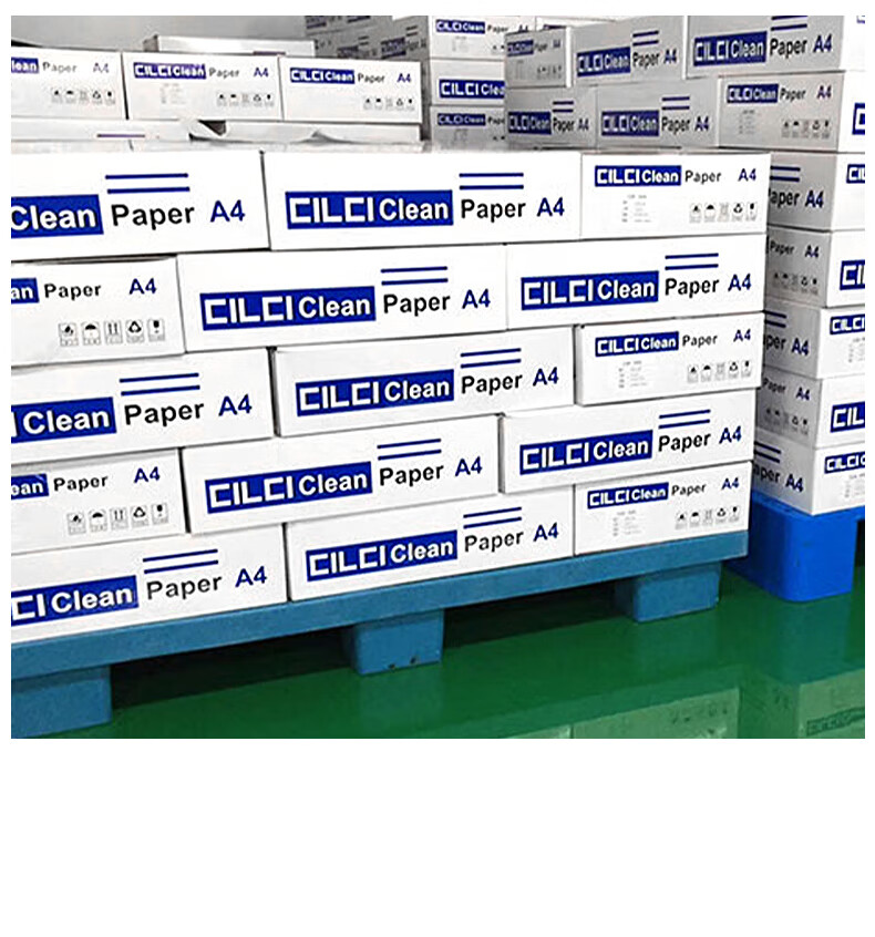 Mulang Dust-Free Paper A4 Printing Paper Colored KM Dust-Free Printing Paper Purification Printing Paper 80g White 250 Sheets (Unit: Pack) 5
