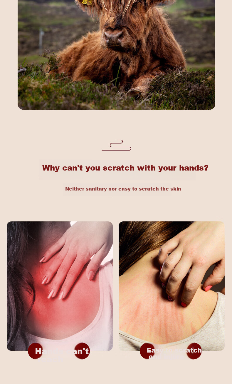 Chaojun Natural Ox Horn Back Scratcher, Self-Massage Tool, Extendable, Portable, Multifunctional, Massage Device, Gift for Mid-Autumn Festival, Practical Present for Parents, Elders, And Clients 3