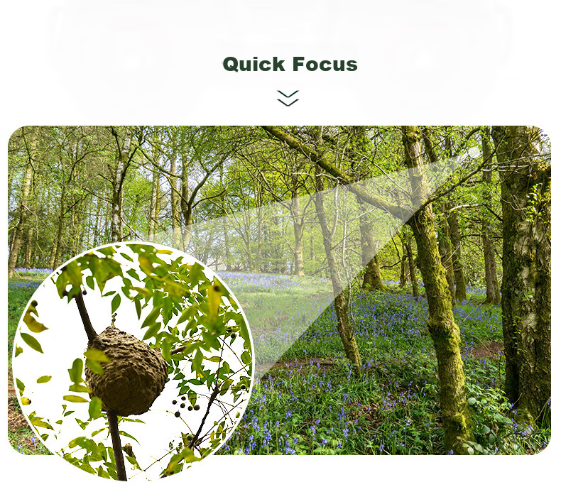 BOSMA Fenghu 2nd Generation 12x50ed Binoculars, Micro-Prism Field Magnesium Alloy, Waterproof, Honeybee Tracking, Scenery Viewing, Low-Light Night Visio 17