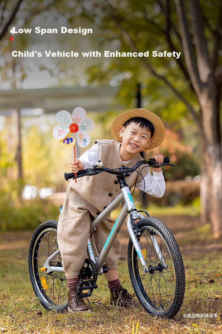 Mengdasheng F01 Children's Bicycle, Aluminum Alloy Ultra-Light Mountain Bike, Fun Ride for Ages 3-6 with Training Wheels And Pedals, 14-Inch Silver 10