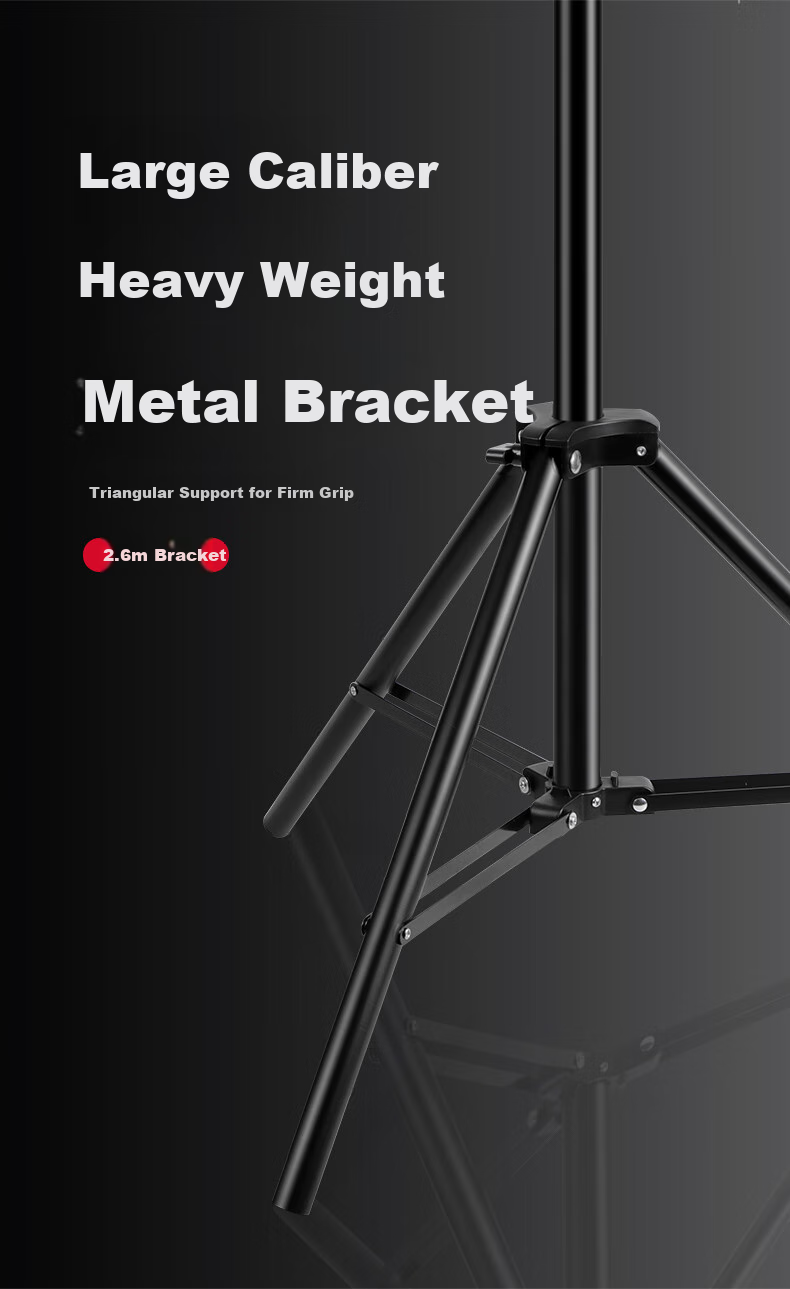 Hakutatz LG-300W Live Streaming Photography Fill Light, 300W Professional Live Streaming Light, Soft Ball COB Studio Equipment Dedicated Live Room Full Set Spherical Lighting Sun Lamp 16