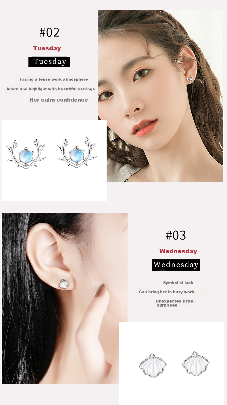 Dijing Weekly Earrings, 2026 New High-End Tassel Earrings for Women, Silver Studs, Long Ear Dangles, Birthday Gift for Wome 3