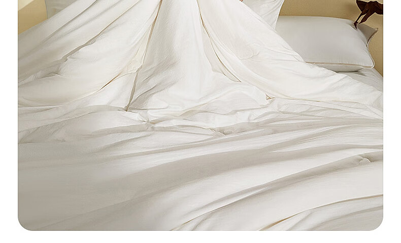 Shuixingjiafang Xinjiang Cotton Quilt, Student Dormitory Pure Cotton Comforter, Winter Cotton Duvet Insert, Single Person, Approximately 4.5 Ji 7