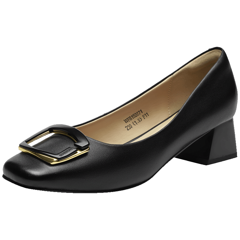 RED DRAGONFLY Chunky Heel Pumps for Women, Spring And Autumn Women's Shoes, French Elegant High Heels, Commuter Leather Shoes WFB15027 Black Size 36