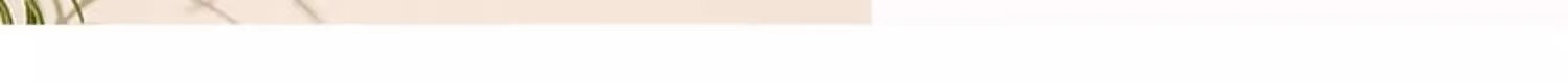 GuofengG 304 Stainless Steel Soup Ladle, Long Handle Spoon for Home Use, Large Dessert Spoon, 304 Avocado Color Round Ladle, 2 Pieces 17