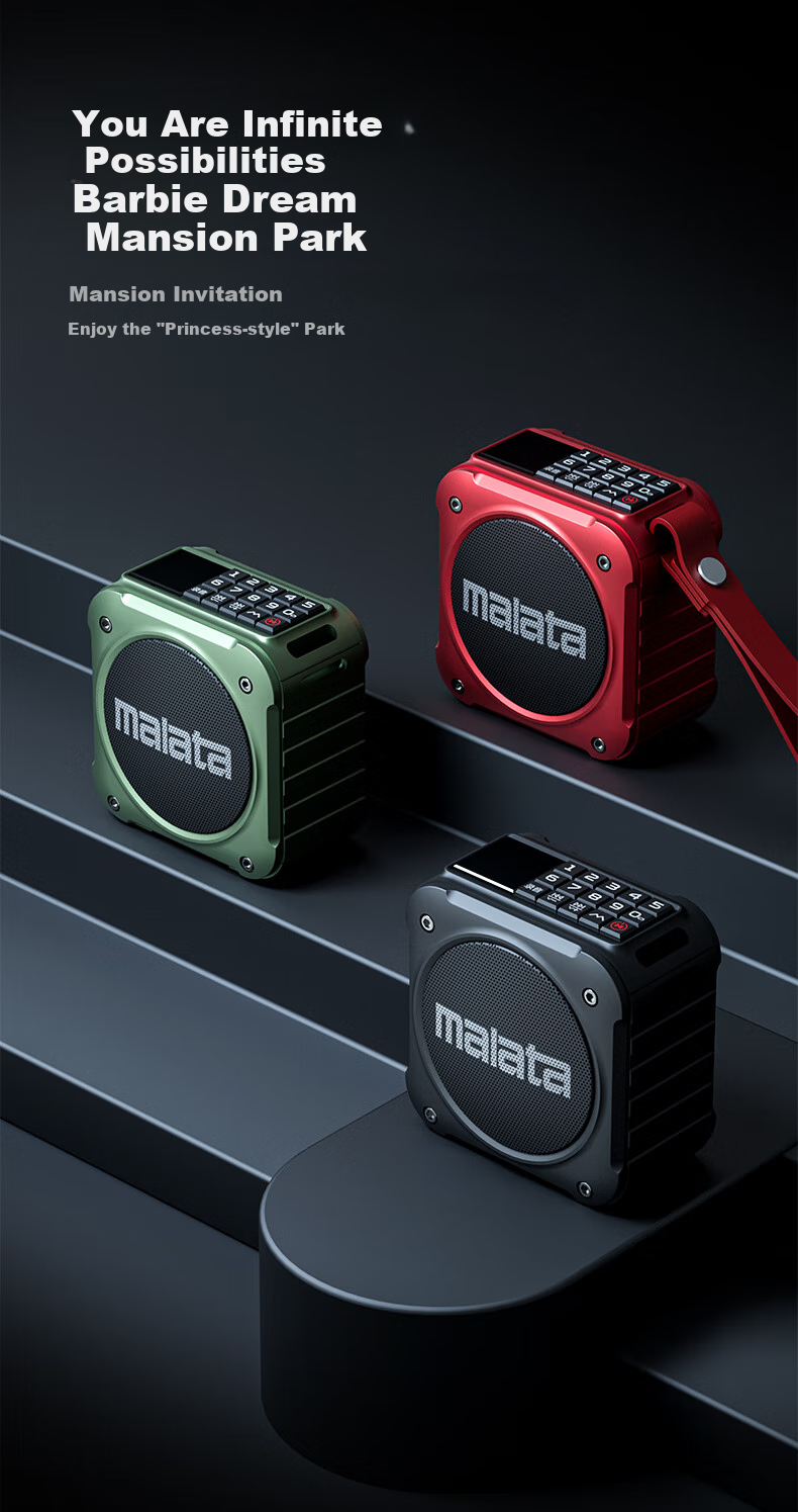 Malata A59 Portable Flash Drive, Personal Audio Player, Outdoor Speaker, Mini FM Radio, Gift for Elderly, Black 5
