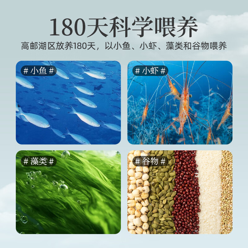 神邮 高邮咸鸭蛋熟10枚*65g礼盒 即食流油麻鸭咸鸭蛋 企业团购