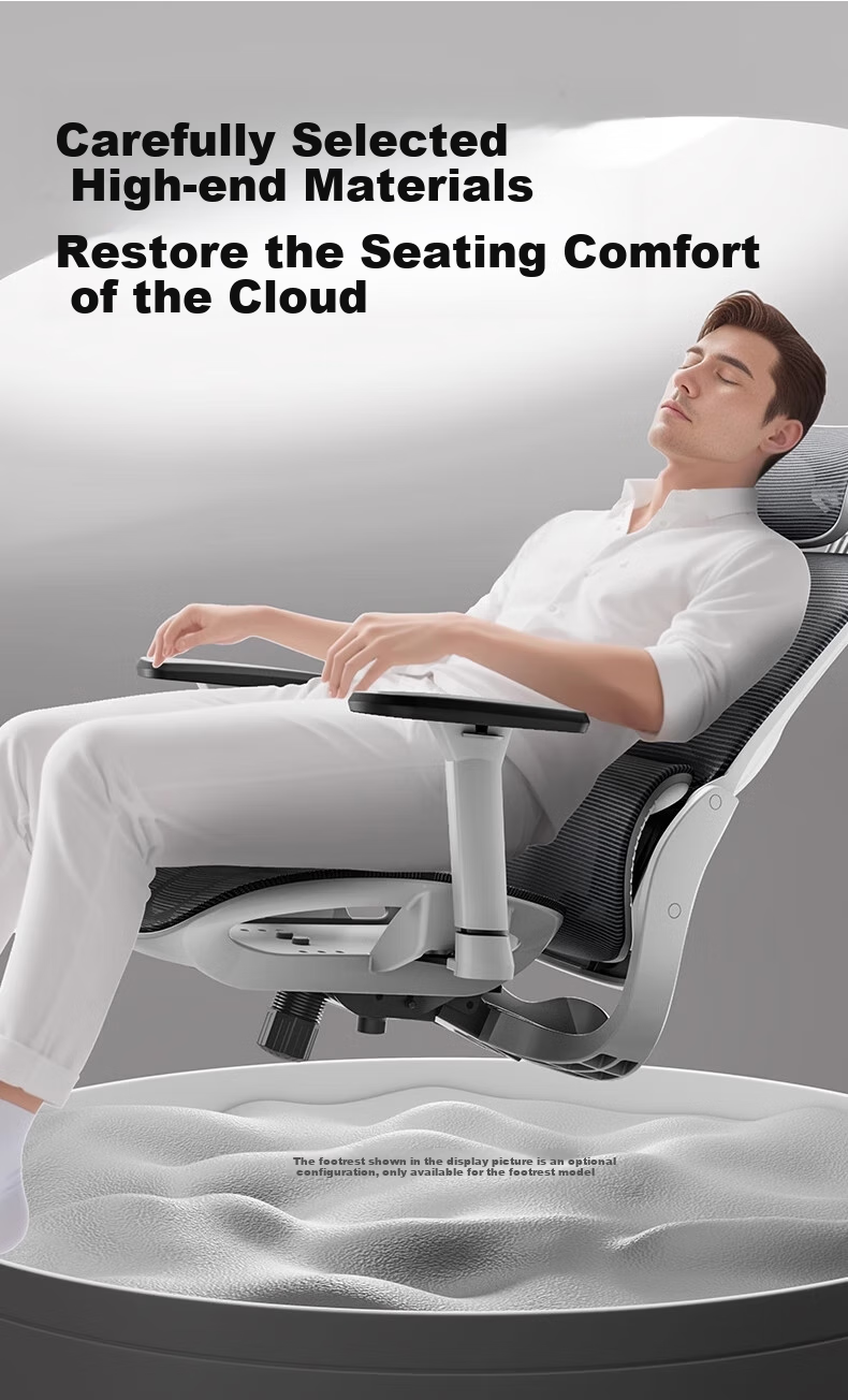 Hbada P2Pro+ Ergonomic Chair, Computer Chair, Office Gaming Chair, Biomechanical Seat with Adjustable Depth 9