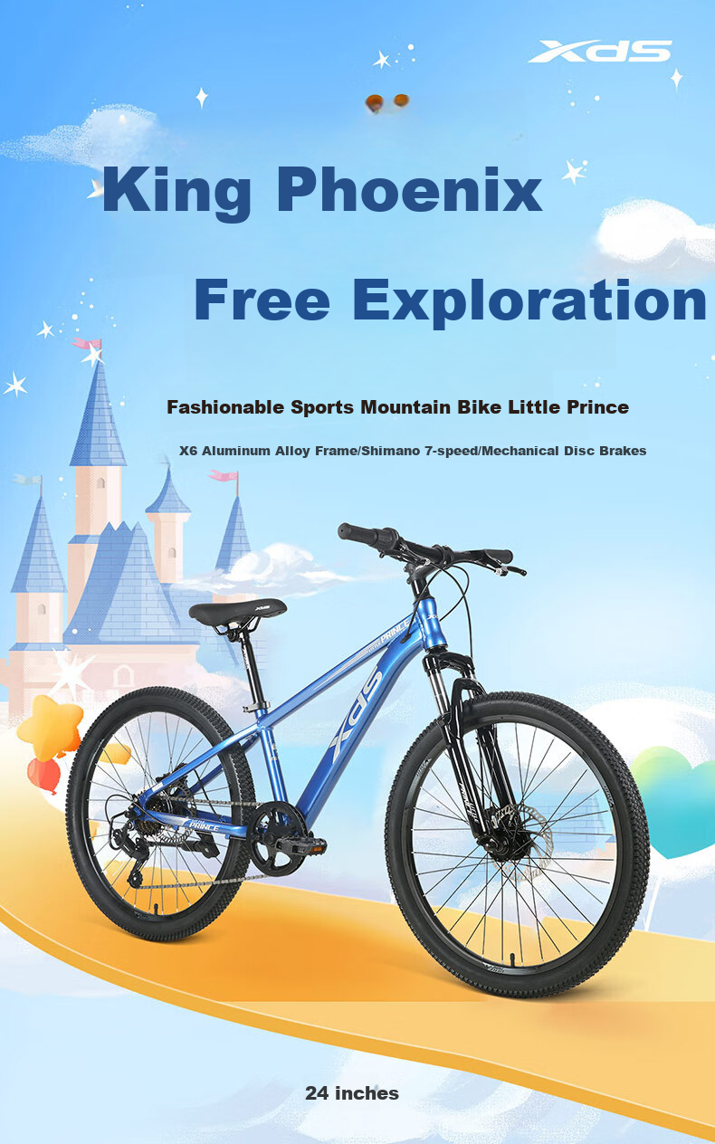 Xds Youth Mountain Bike Little Prince 7-Speed Disc Brake Internal Cable Routing Frame, Black And Silver, 24 Inches 1