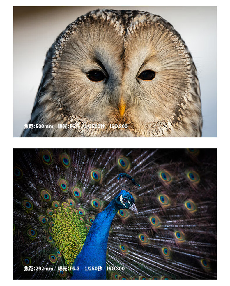 Tamron 150-500mm F/5-6.7 Di III VC VXD Image Stabilized Sports Birding Super Telephoto High Precision Focus Lens (Sony Full-Frame E-Mount) Youth Edition Kit 9