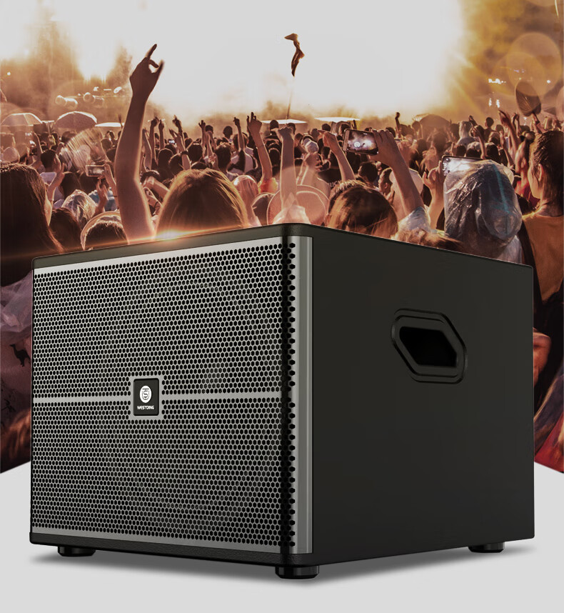 WESTDING Home KTV Karaoke Sound System Complete Equipment for Karaoke And Home Theater, Supermarket And Home Living Room Conference Store High-Power 15-Inch Passive Subwoofer W-15 One Unit 2