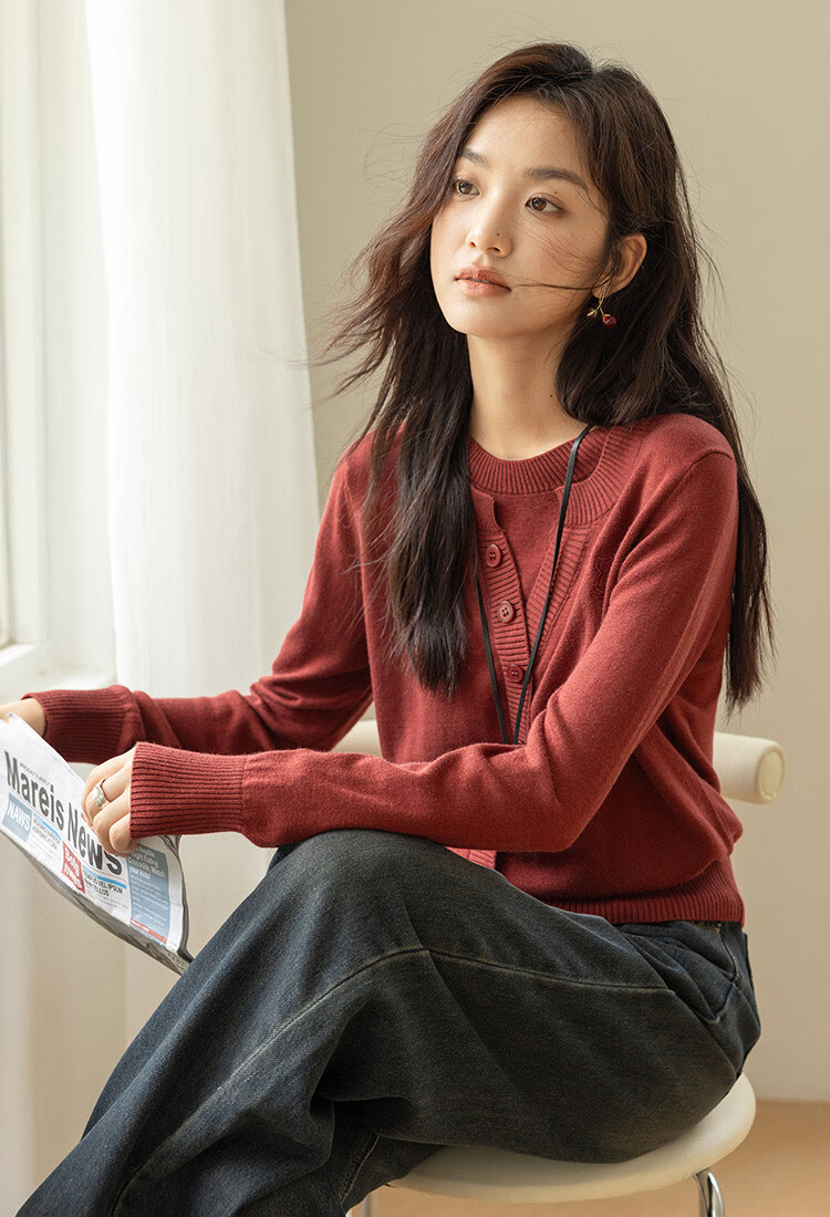 Dme [Containing Wool] Spring And Autumn Stylish Faux Two-Piece Embroidered Round Neck Sweater, Petite Knit Top for Wome 6