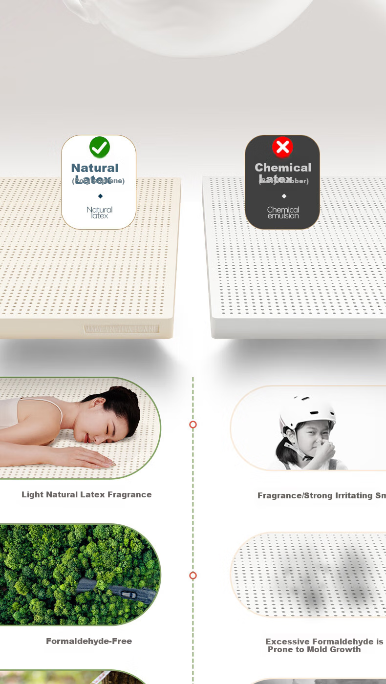 POKALEN Thai Natural Latex Mattress, Made in Thailand, Original Import, 95% Pure Natural High Content 8
