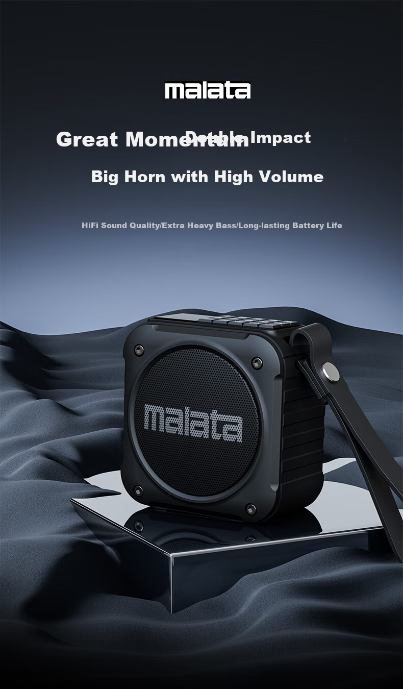 Malata A59 Portable Flash Drive, Personal Audio Player, Outdoor Speaker, Mini FM Radio, Gift for Elderly, Black 1