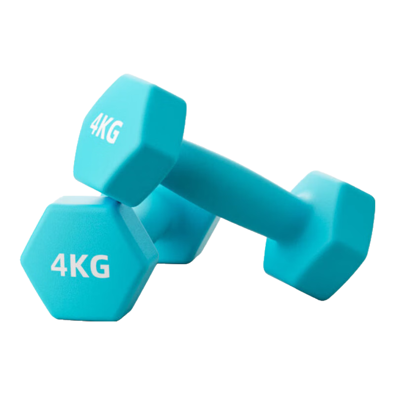Langwei Dumbbell for Men And Women, Pure Iron Strength Training Solid Cast Iron Yaling Home Gym Equipment [JINGDONG Exclusive]