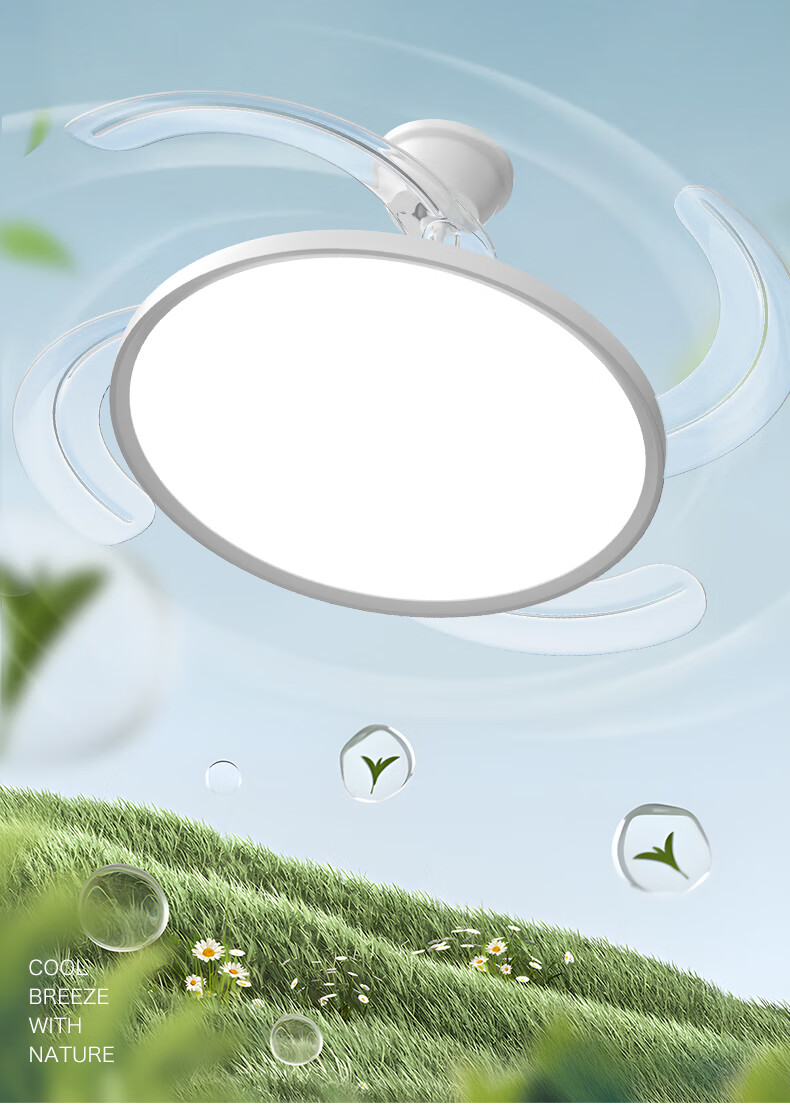 MICOE Ceiling Fan Light, Puli Eye Protection, Invisible Blades, Remote Control Dimming, Zhongshan Lighting Fixture with Installation Included - Lingxiao 2